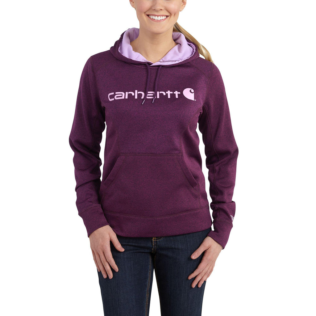 Carhartt Force Extremes Sig Grphc Hdd Swtshrt